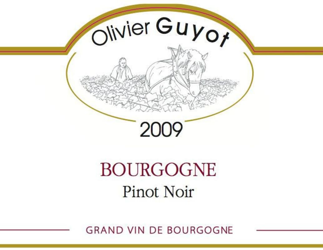 Domaine Olivier Guyot Bourgogne Pinot Noir 2009 Front Label