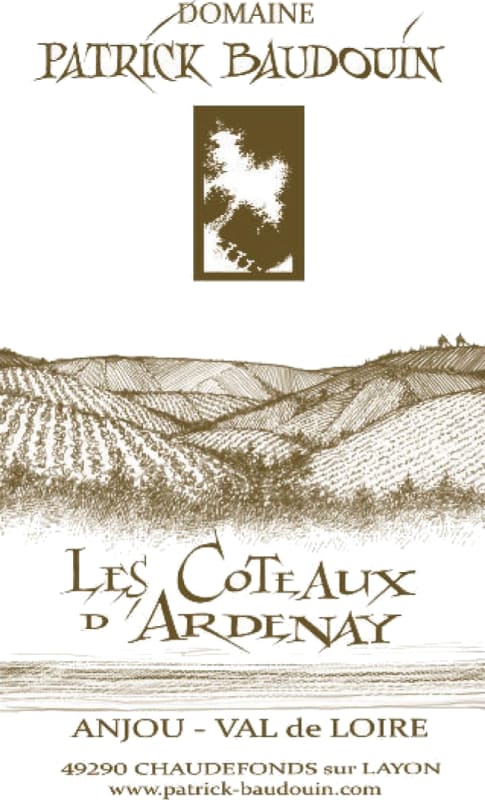 Domaine Patrick Baudouin Anjou Les Coteaux d'Ardenay Rouge 2010 Front Label
