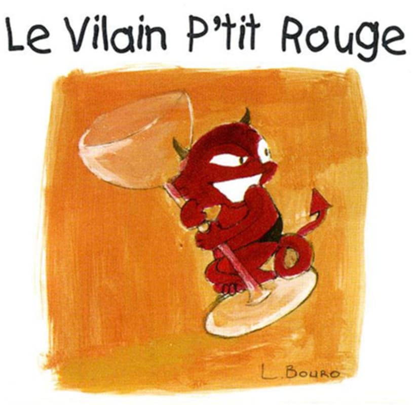Domaine Ricard Touraine Le Vilain P'tit Rouge 2011 Front Label