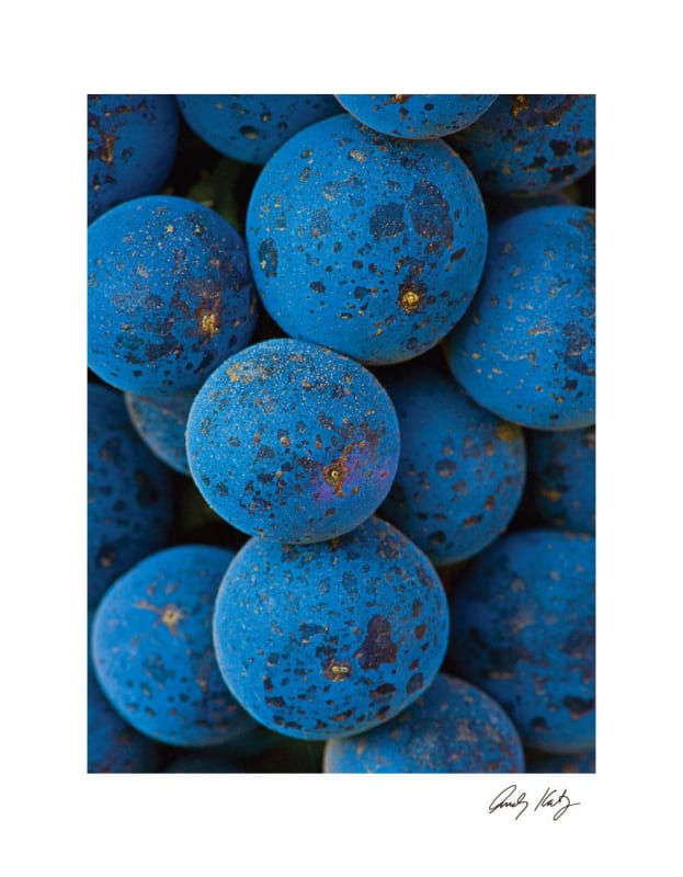 Aperture Alexander Valley Cabernet Sauvignon 2012 Front Label