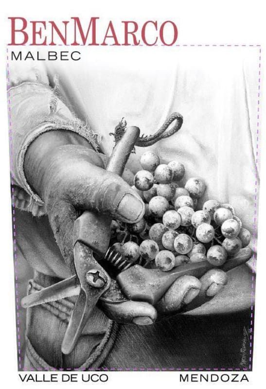 Dominio del Plata BenMarco Malbec 2014 Front Label