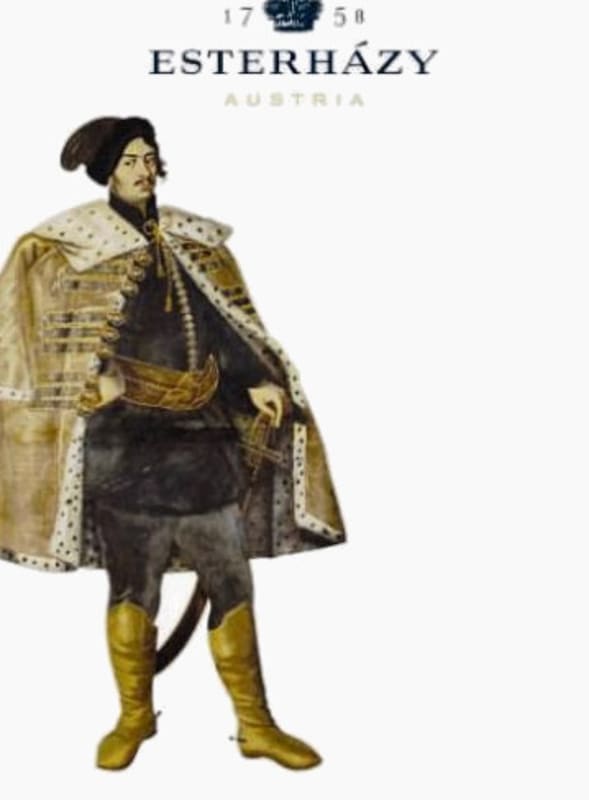 Esterhazy Schneiderteil Merlot 2013 Front Label