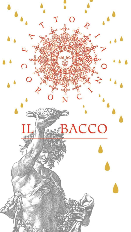 Fattoria Coroncino Il Bacco Verdicchio dei Castelli di Jesi Classico Superiore 2013 Front Label