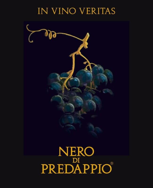 Fattoria Nicolucci Di Nicolucci Alessandro Nero di Predappio Rosso 2013 Front Label
