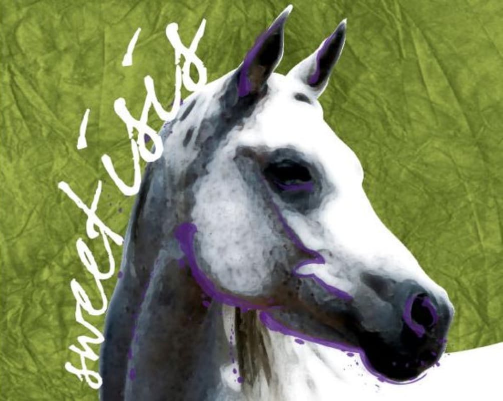 Baiting Hollow Farm Vineyard Sweet Isis 2011 Front Label