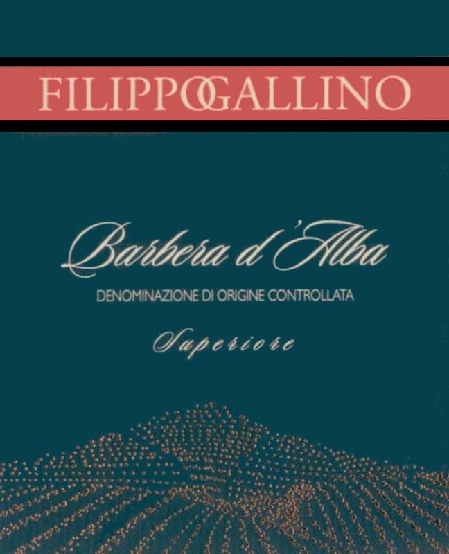 Filippo Gallino Barbera d'Alba Superiore 2001 Front Label