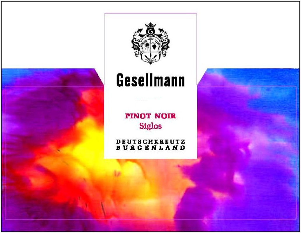 Gesellmann Siglos Pinot Noir 2008 Front Label