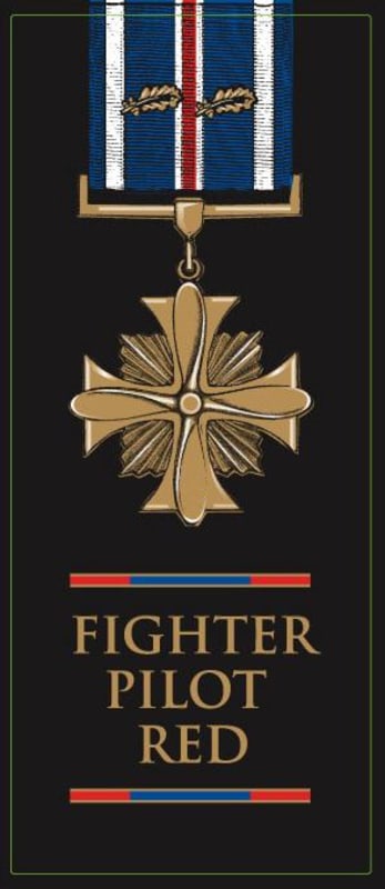 Bella Luna Winery Fighter Pilot Zinfandel 2008 Front Label