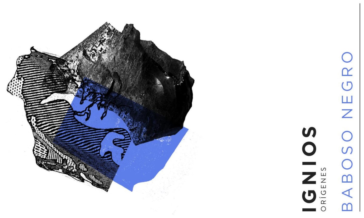Ignios Origenes Baboso Negro 2012 Front Label