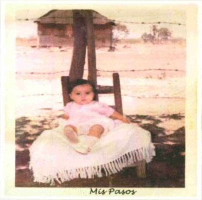 Bodega de Edgar Mis Pasos Red 2010 Front Label