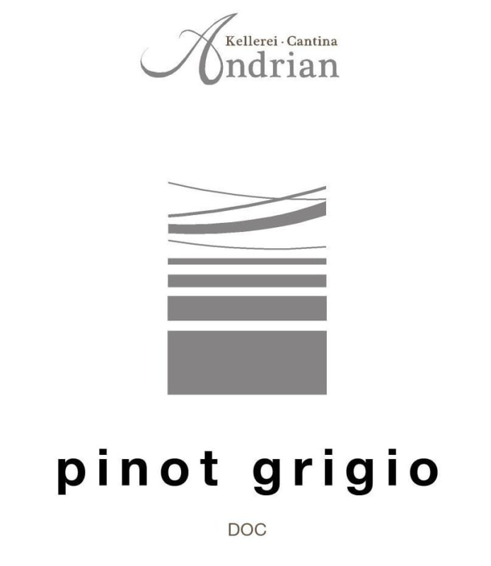 Cantina Andrian Pinot Grigio 2013 Front Label
