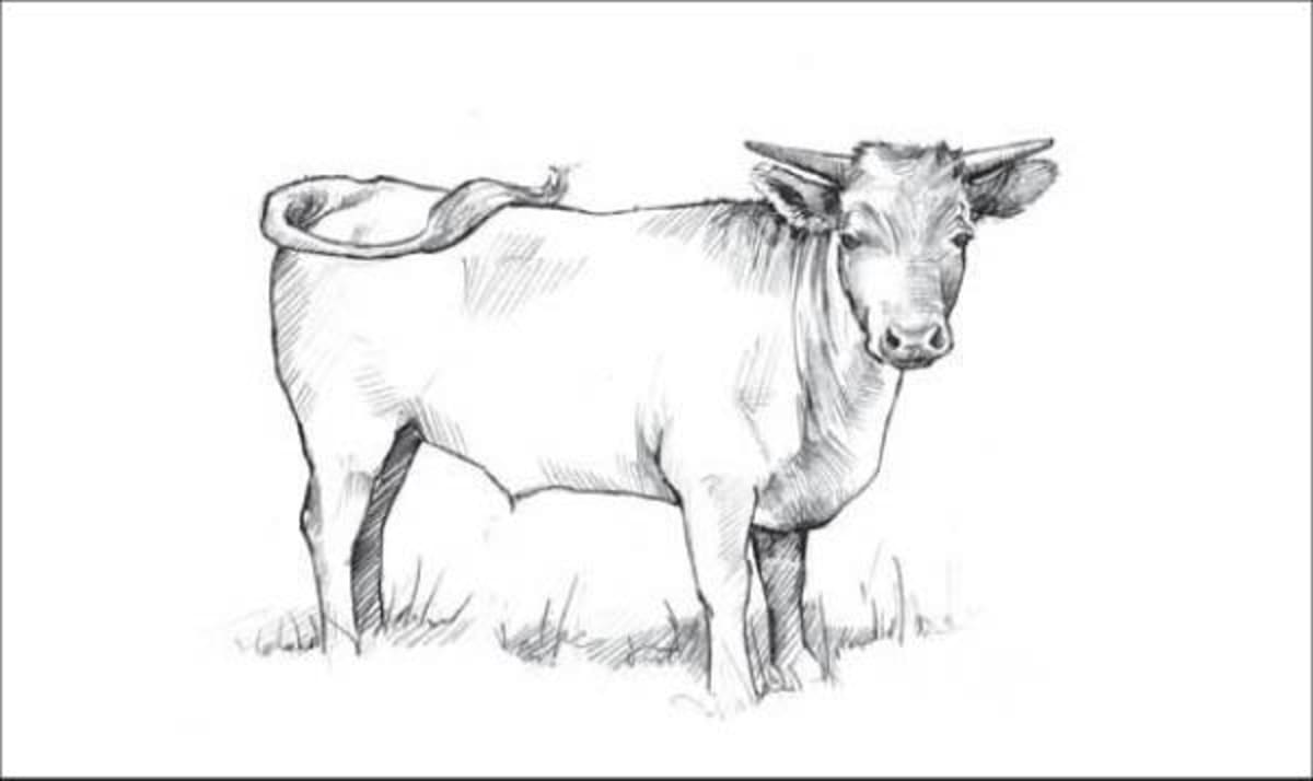 Big Table Farm Resonance Vineyard Pinot Noir 2010 Front Label