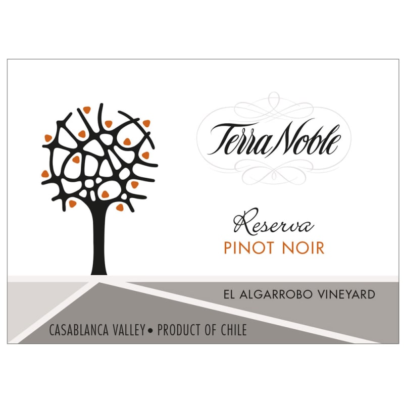TerraNoble El Algarrobo Vineyard Reserva Pinot Noir 2011 Front Label
