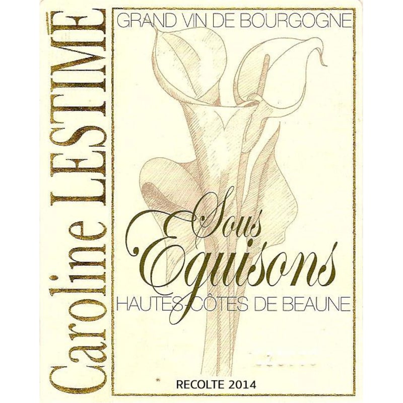 Jean-Noel Gagnard Bourgogne Hautes-Cotes de Beaune Sous Eguisons Blanc 2014 Front Label