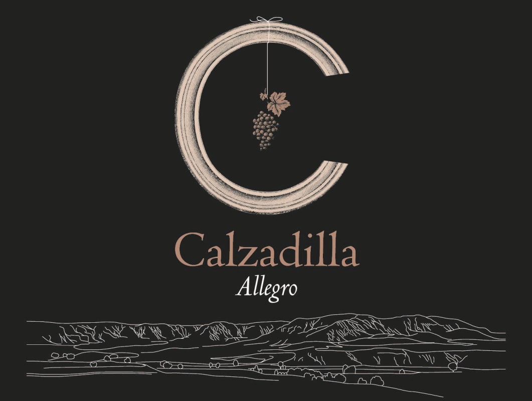 Pago Calzadilla Calzadilla Vino de Pago Allegro Syrah 2010 Front Label