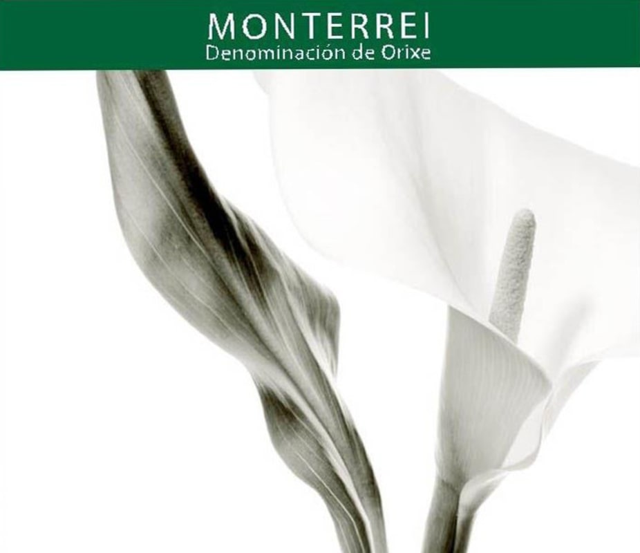 Pazo Das Tapias Alma de Blanco 2010 Front Label