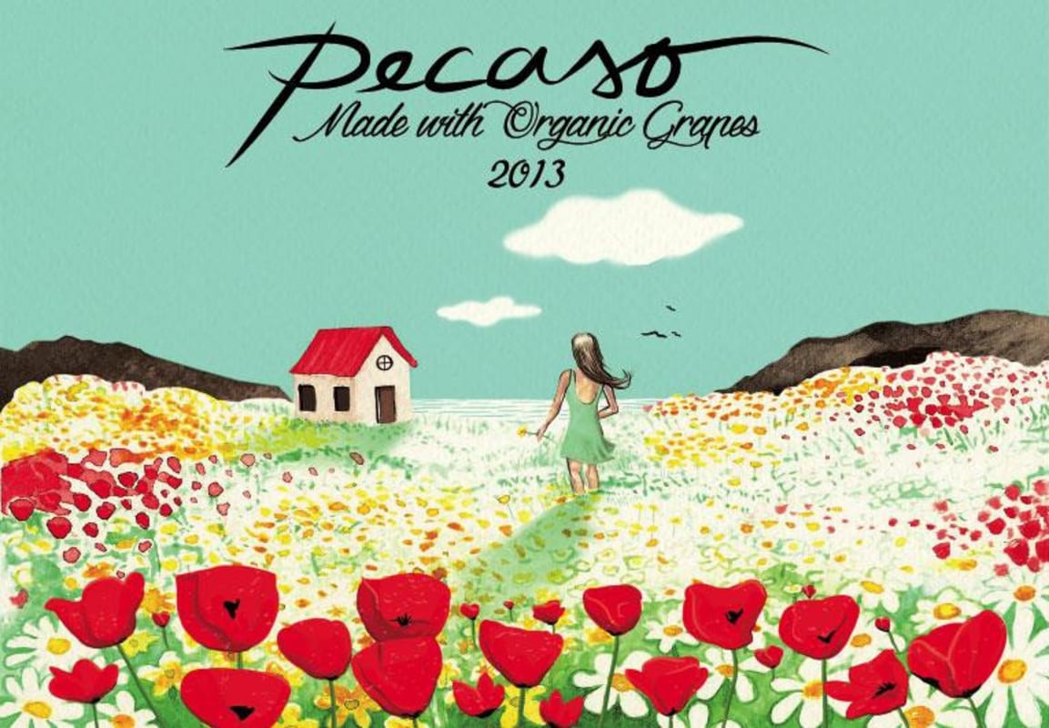 Pecaso Organic Vino de la Tierra Tinto 2013 Front Label