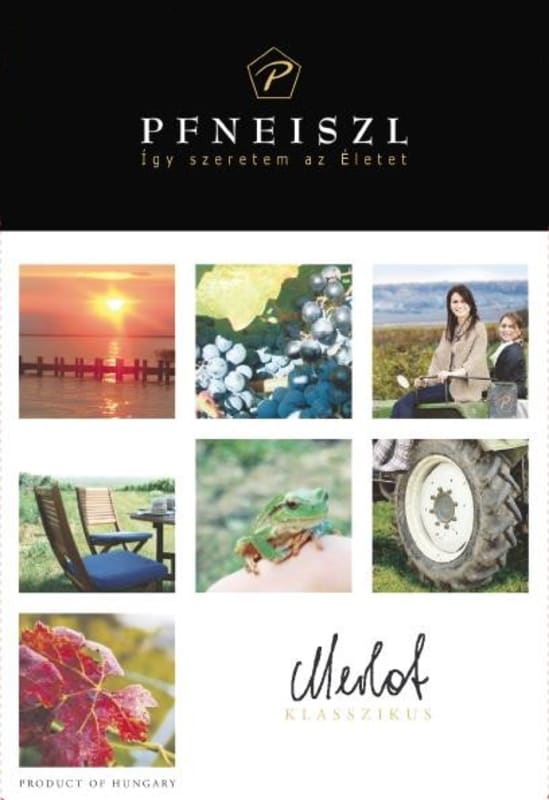 Pfneiszl Pince Merlot 2013 Front Label