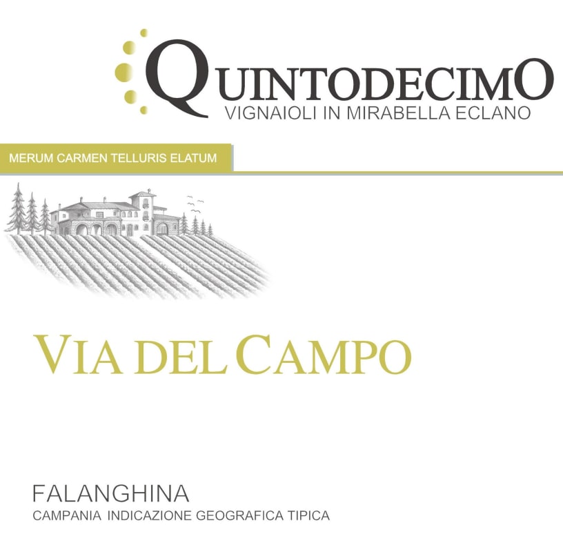 Quintodecimo Campania Via del Campo Falanghina 2014 Front Label