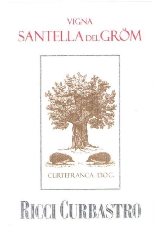 Ricci Curbastro Curtefranca Vigna Santella del Grom Rosso 2009 Front Label
