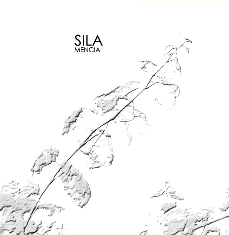 Pazos del Rey Sila 2012 Front Label