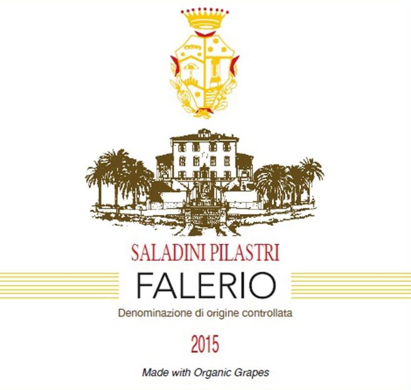 Saladini Pilastri Falerio dei Colli Ascolani Vigna Palazzi 2015 Front Label