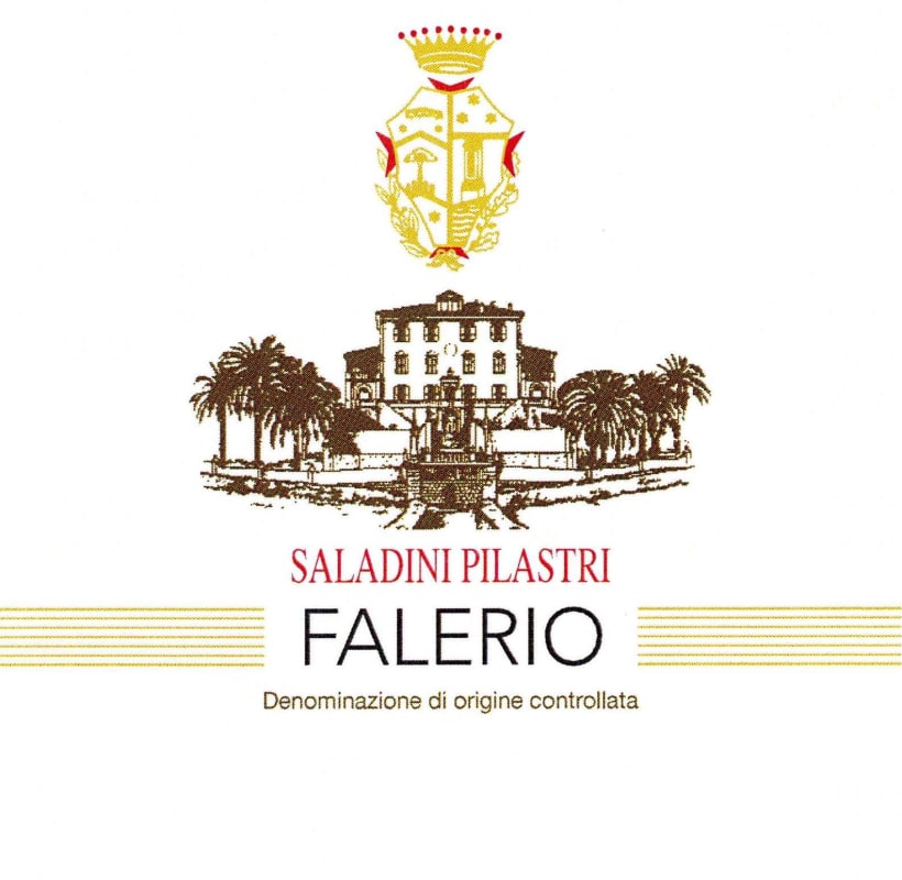 Saladini Pilastri Falerio dei Colli Ascolani Vigna Palazzi 2014 Front Label