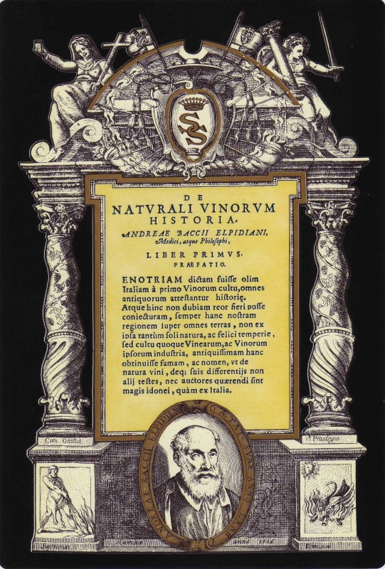 Champagne Clergeot Naturali Vinorum 2006 Front Label