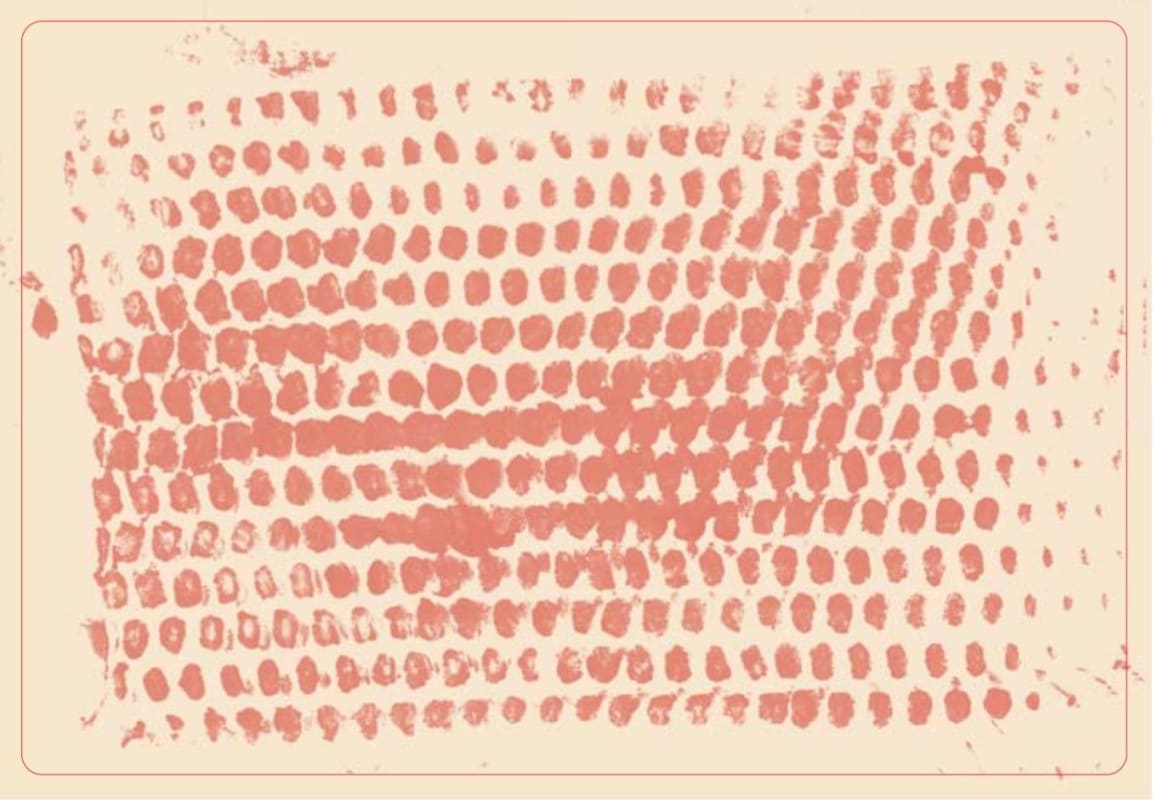 Sami-Odi Syrah 2014 Front Label