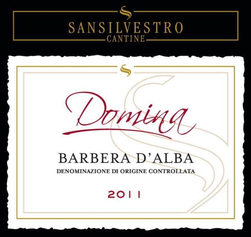 Chateau de Lidonne Barbera d'Alba Domina 2011 Front Label