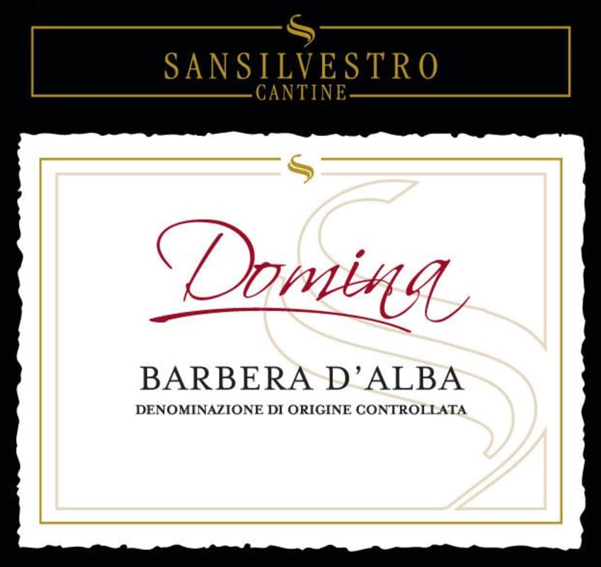 Chateau de Lidonne Barbera d'Alba Domina 2013 Front Label