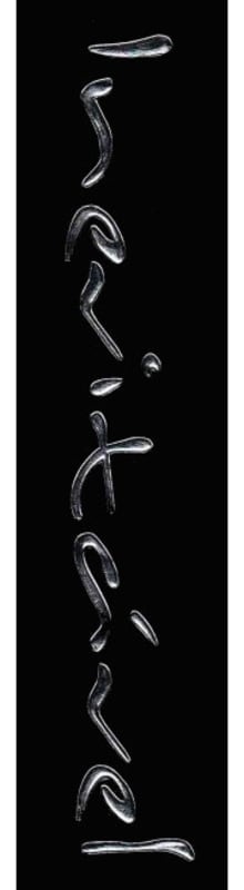 Santa Vitoria Vinhos Inevitavel 2008 Front Label