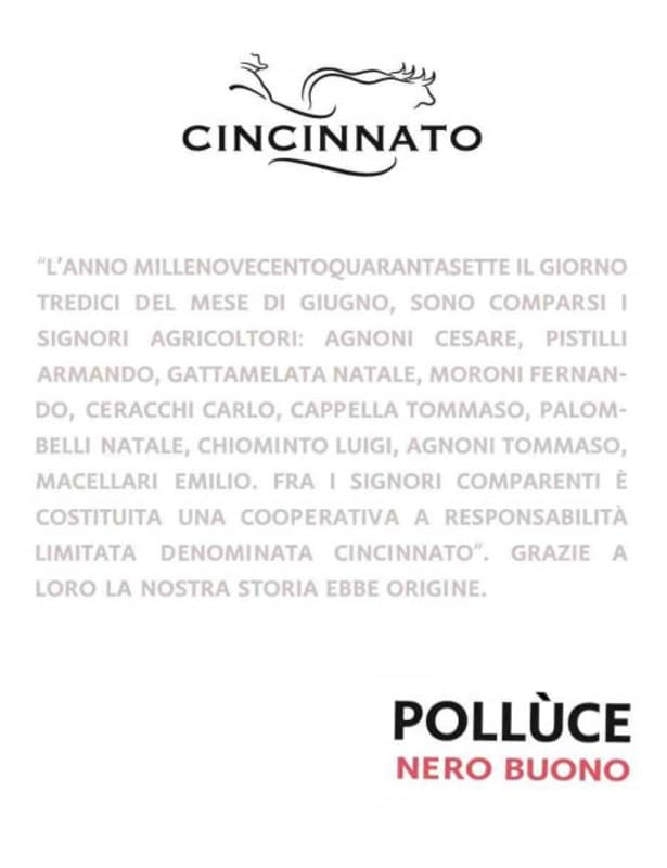 Cantina Cincinnato Lazio Polluce Nero Buono 2015 Front Label