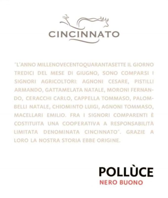 Cantina Cincinnato Lazio Polluce Nero Buono 2013 Front Label
