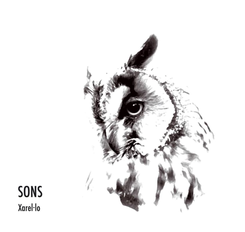 Sicus Sons Xarel-lo 2013 Front Label