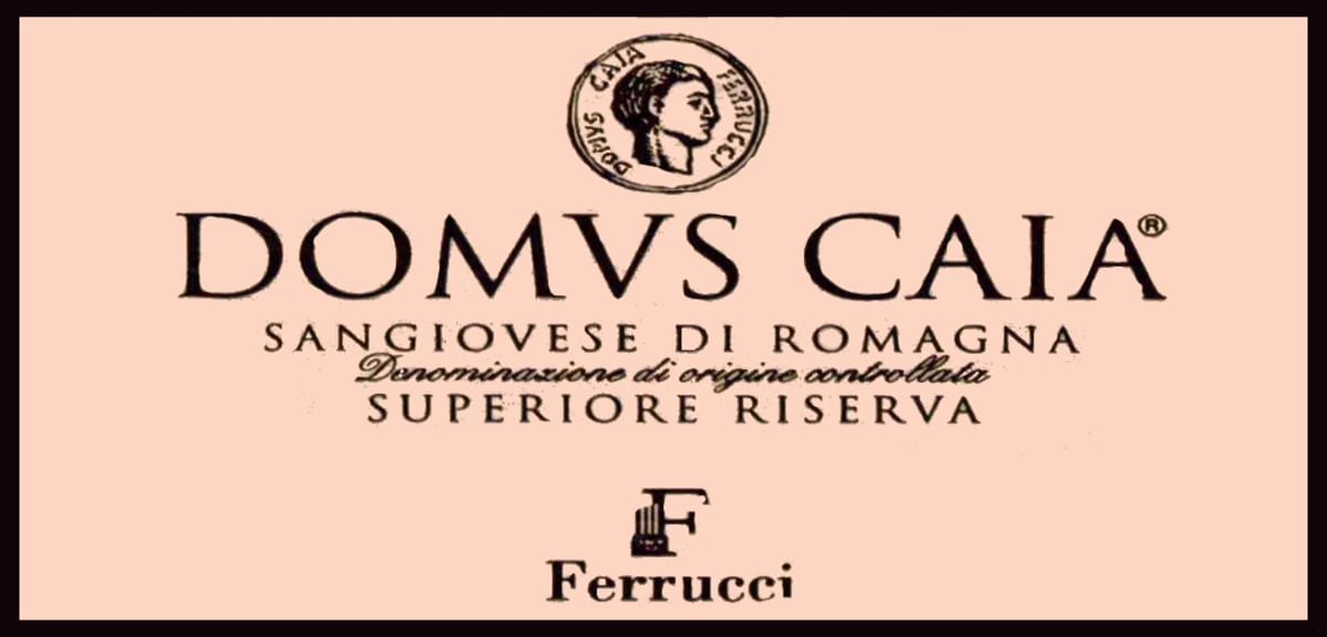 Stefano Ferrucci Sangiovese di Romagna Superiore Riserva Domus Caia 2009 Front Label