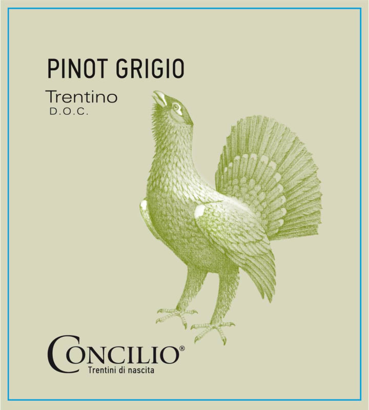 Concilio Trentino Pinot Grigio 2014 Front Label