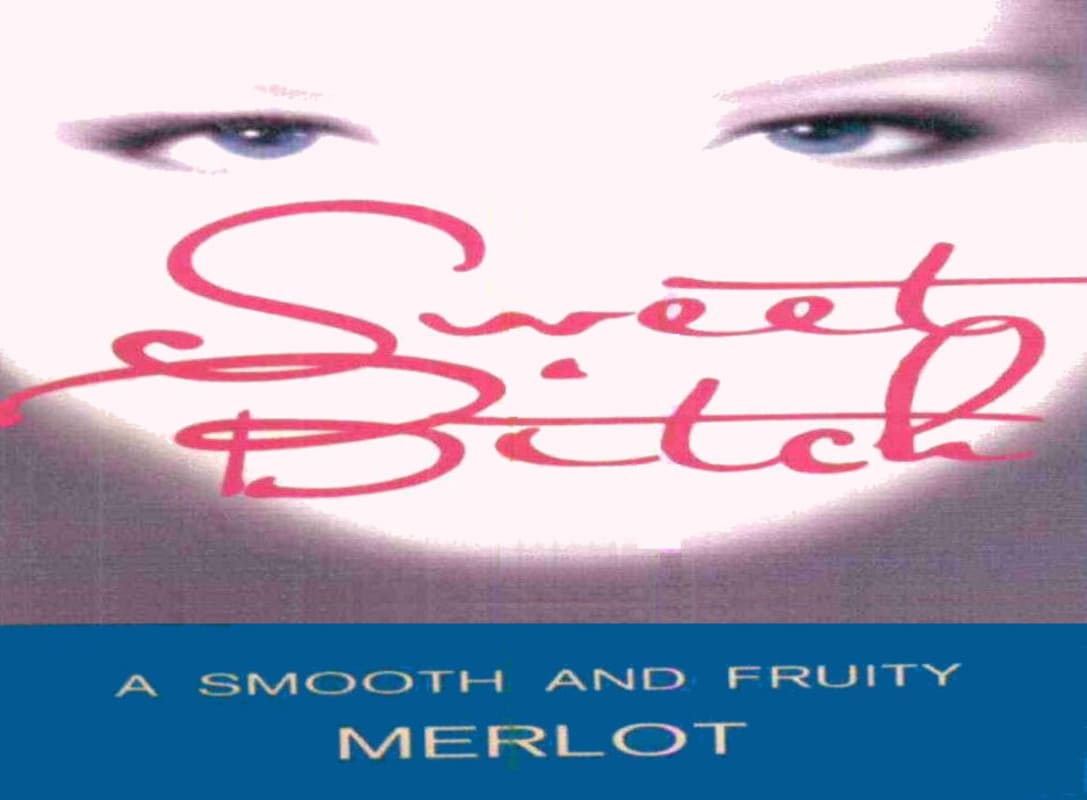 Sweet Bitch Wines A Smooth and Fruity Merlot 2008 Front Label