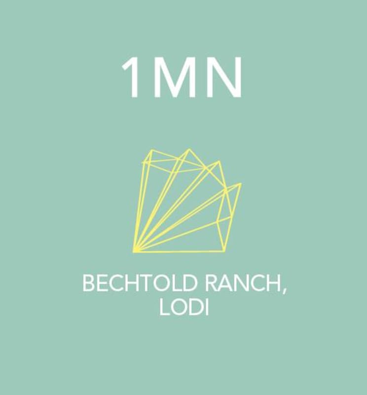 Scholium Project 1MN Bechtold Ranch Vineyard Cinsaut 2014 Front Label