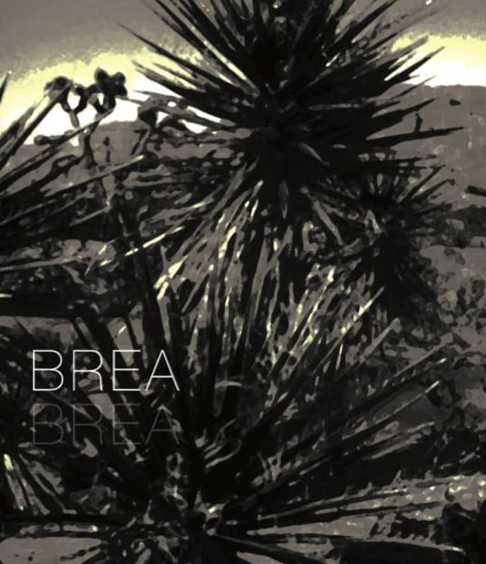 Brea Cabernet Sauvignon 2012 Front Label