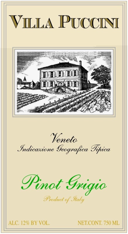 Villa Puccini Pinot Grigio 2015 Front Label
