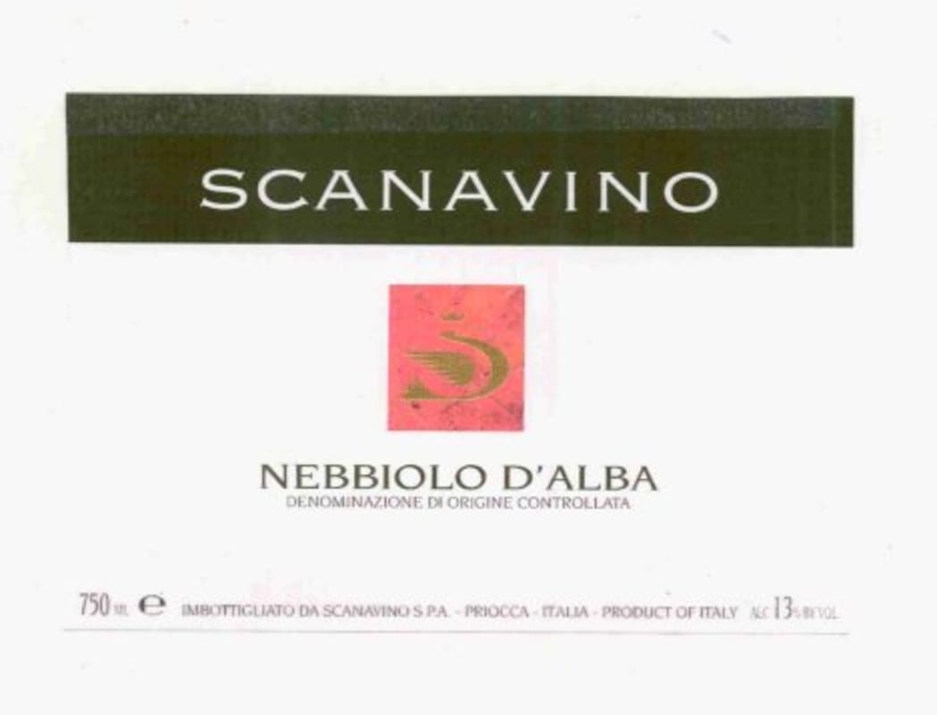 V.N.P. Valsa Perlino Srl Nebbiolo d'Alba 2013 Front Label