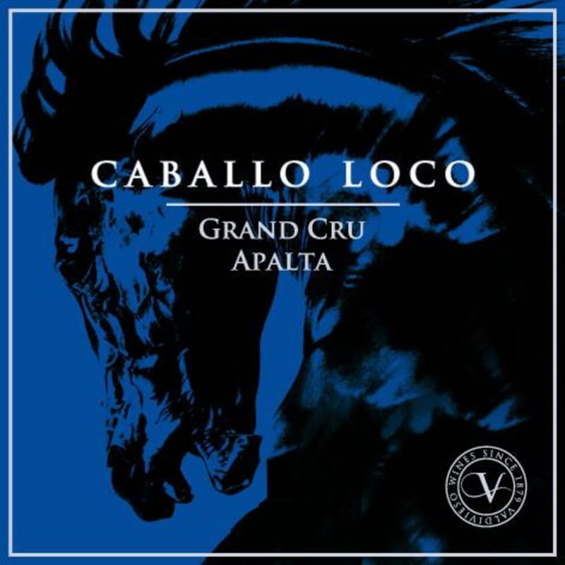 Valdivieso Caballo Loco Apalta Grand Cru 2013 Front Label