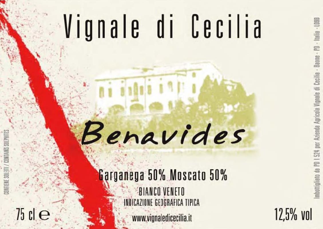 Vignale di Cecilia Veneto Benavides 2011 Front Label