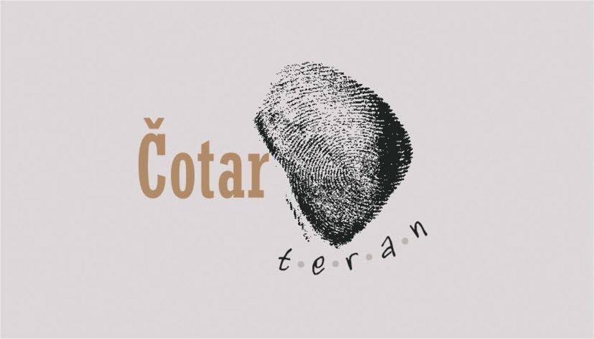 Vina Cotar Teran 2011 Front Label