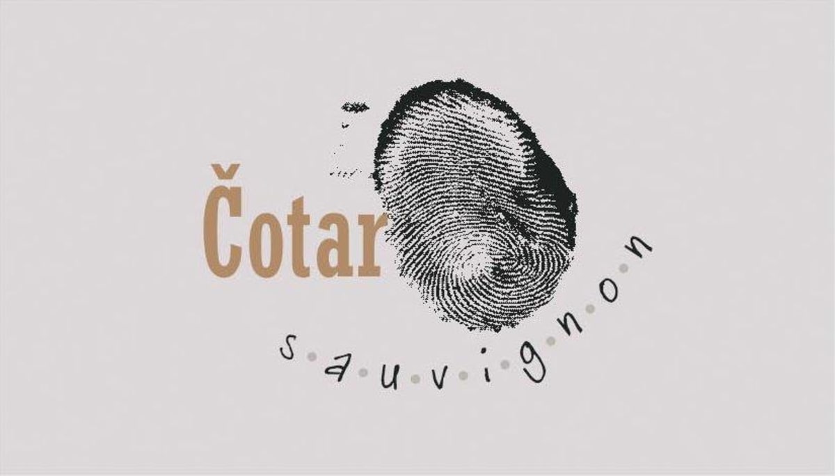 Vina Cotar Sauvignon Blanc 2001 Front Label