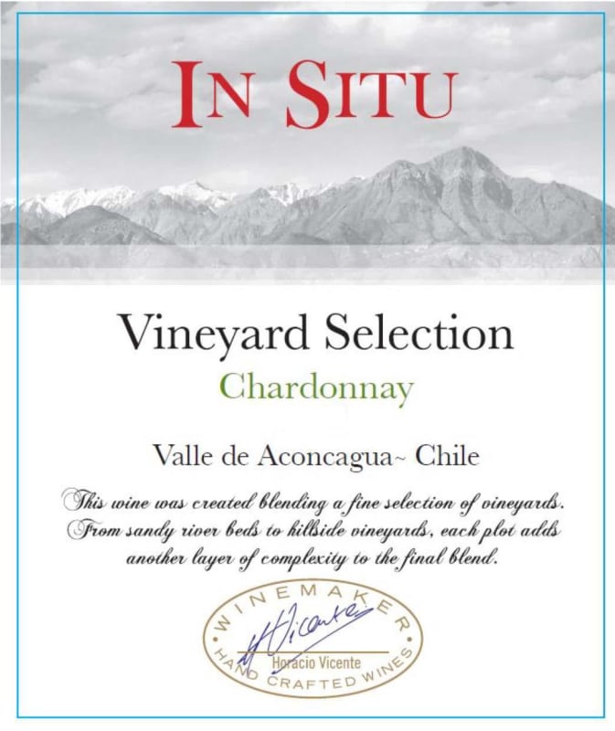 Vina San Esteban In Situ Vineyard Selection Chardonnay 2013 Front Label