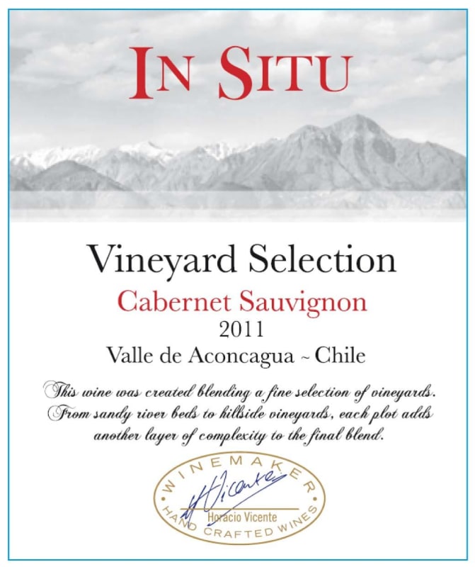 Vina San Esteban In Situ Vineyard Selection Cabernet Sauvignon 2011 Front Label