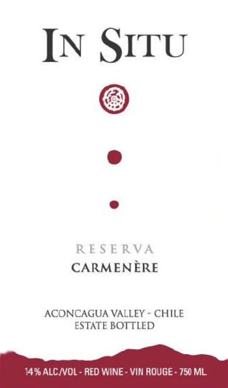 Vina San Esteban In Situ Reserva Carmenere 2011 Front Label