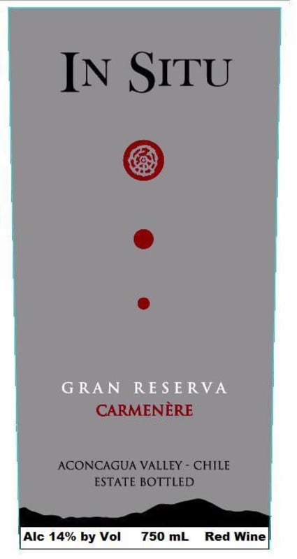 Vina San Esteban In Situ Gran Reserva Carmenere 2012 Front Label